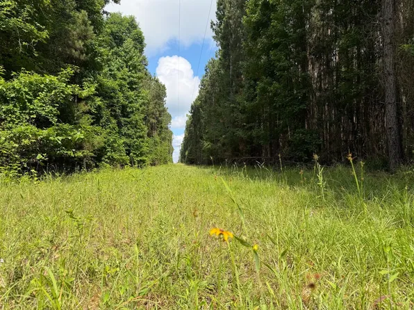 0 Buck Green Rd, Bernice, LA 71222