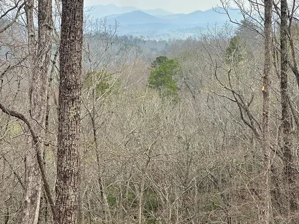29 S Prospect Rdg, Blue Ridge, GA 30513