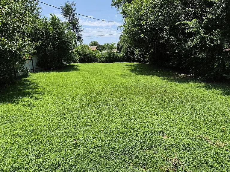 Back yard