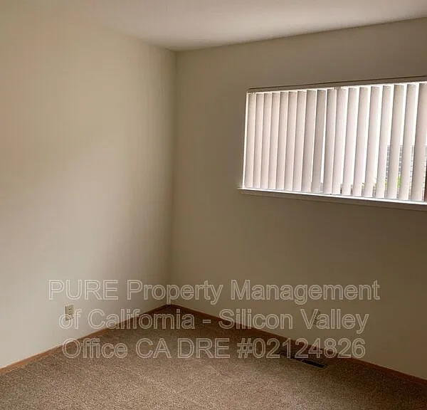 8137 Presidio Dr — Photo 8