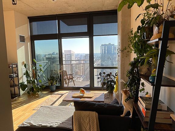living room with a view