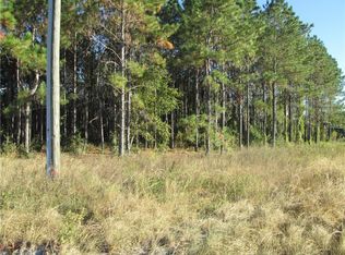 Redwing Rd, Groveland, FL 34736