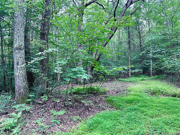 4th image of Lot 1 Upper Cherrytown