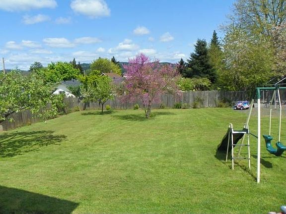 back yard