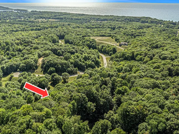 PARCEL Norman Rd #I, Arcadia, MI 49613