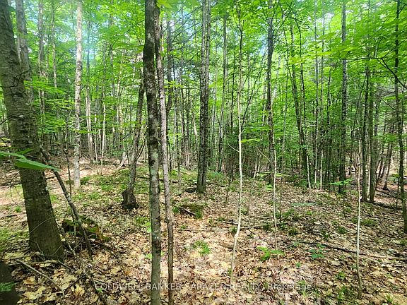 2nd image of 0 Canaan Rd