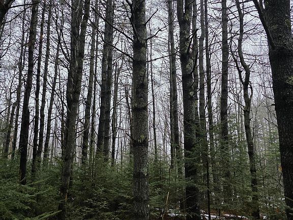 3rd image of 00 Harriman Road