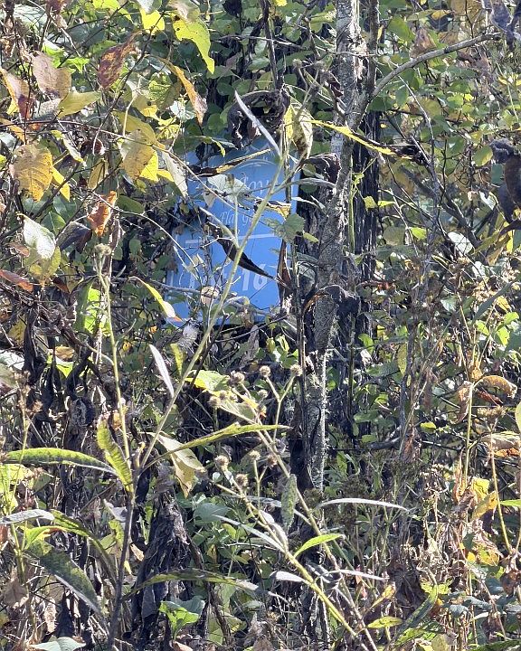 2nd image of 16 Rustling Woods Trail