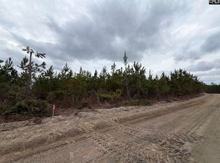 Bff Ii 5 Brunson Teal Rd, Patrick, SC 29584