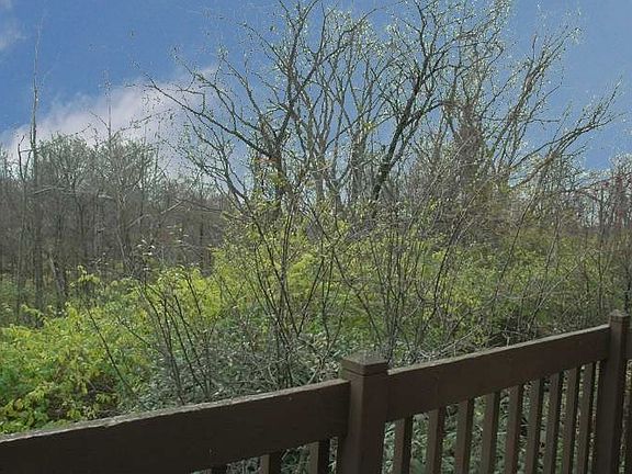 4th image of 302 Trebor Ln