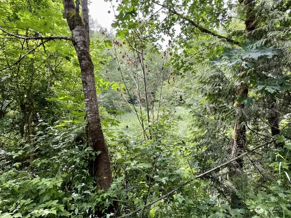 0 196th Avenue E, Orting, WA 98360