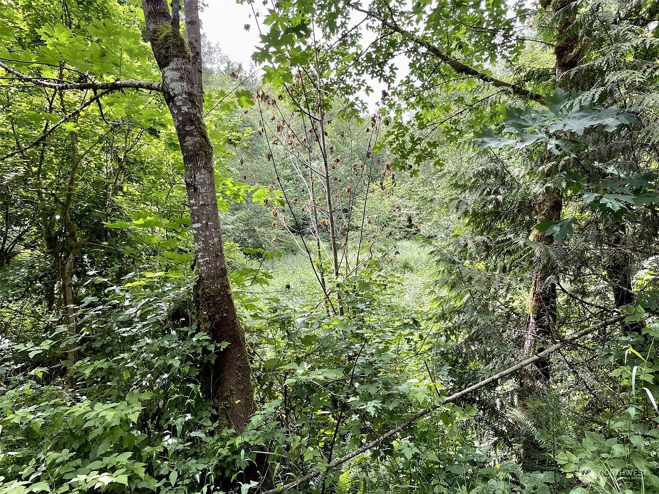 1st image of 0 196th Avenue E