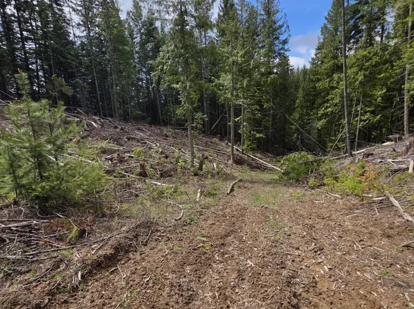 Nna Cabin Loop Rd, Saint Maries, ID 83861