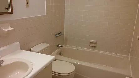 Rented by Andrea Bohackova, LREB