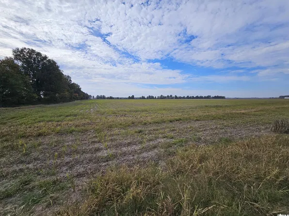 (undisclosed Address), Delaplaine, AR 72425