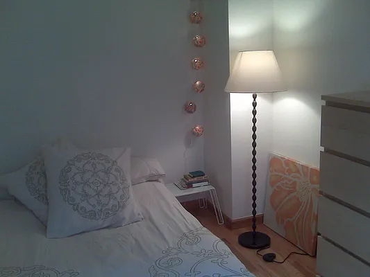 Rented by Gopal Realty Corp. | media 5