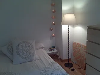 Rented by Gopal Realty Corp.