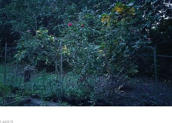 5th image of 8229 Marx Dr