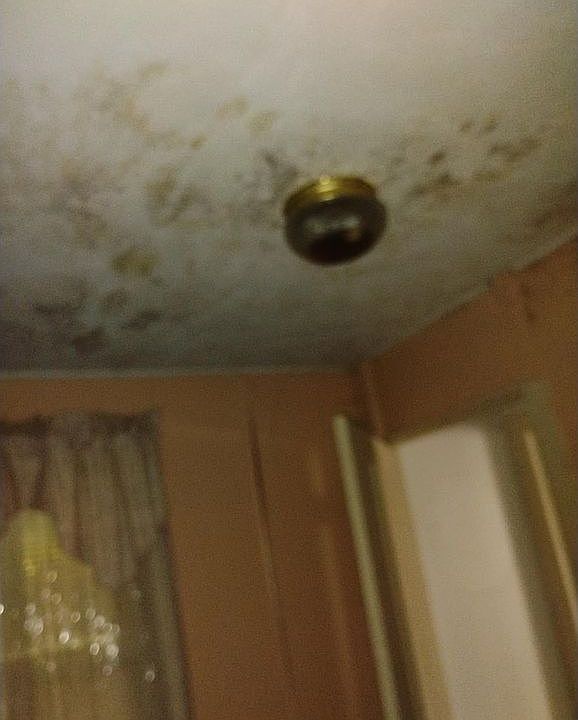 1st image of 2572 Bredinsburg Rd