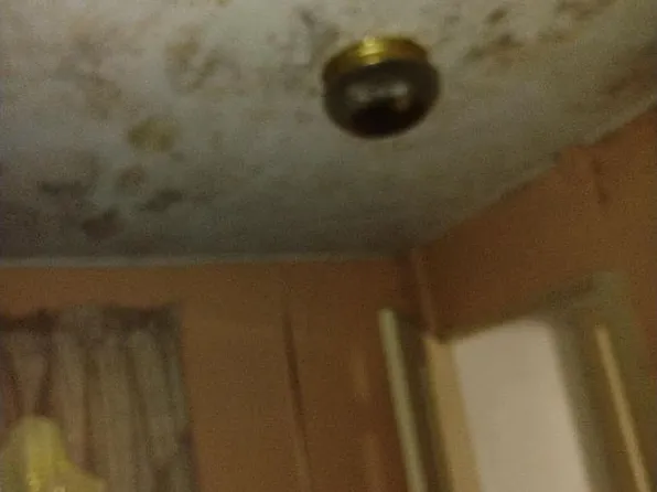 2572 Bredinsburg Rd, Franklin, PA 16323