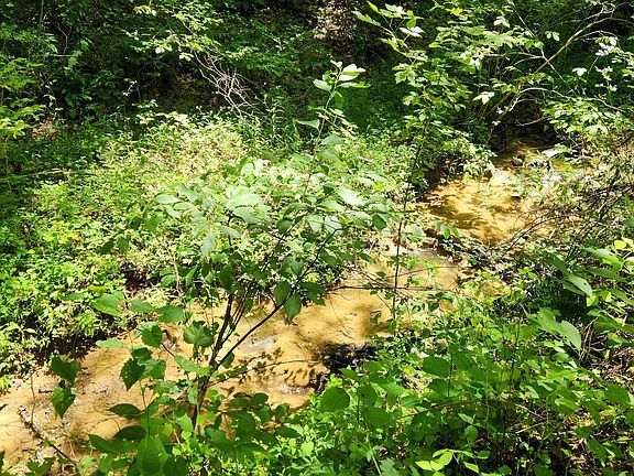 2nd image of 1334 Becky Town Rd