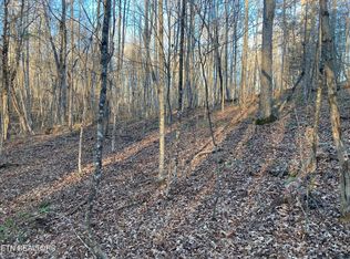 Hardin Private Drive Lots 8 #&-9, Robbins, TN 37852