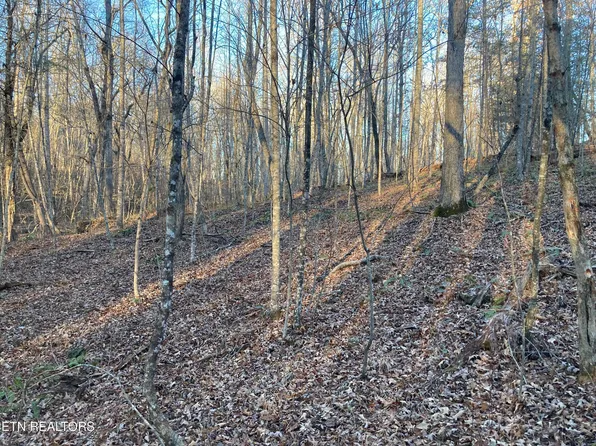 Hardin Private Drive Lots 8 #&-9, Robbins, TN 37852