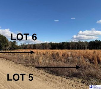 LOT 6 Neil Dr, Hamer, SC, 29547