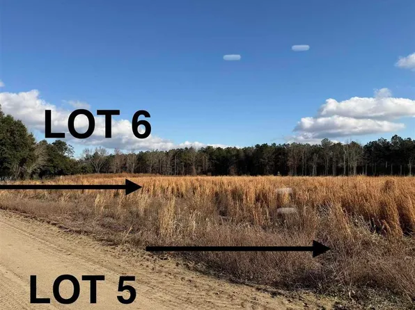 LOT 6 Neil Dr, Hamer, SC 29547