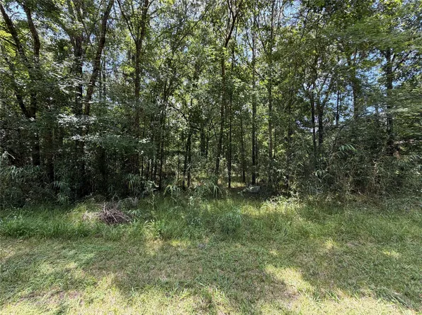 LOT 119 Miller Dr, Cleveland, TX 77327