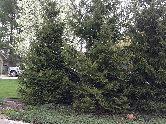 Front landscaping