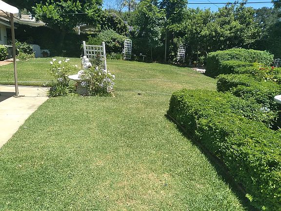 5th image of 728 N Live Oak Ave