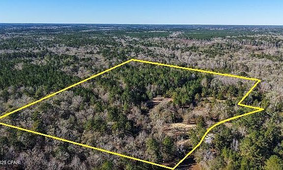 2nd image of 660 White Creek Rd