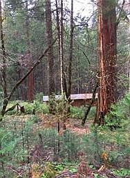 1st image of 3523 Comet Mine Ln