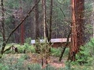 3523 Comet Mine Ln, Mariposa, CA 95338