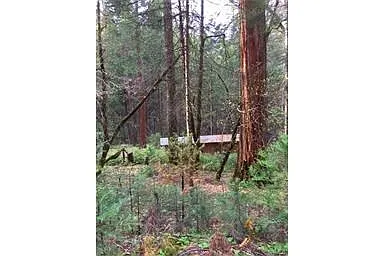 3523 Comet Mine Ln photo 1