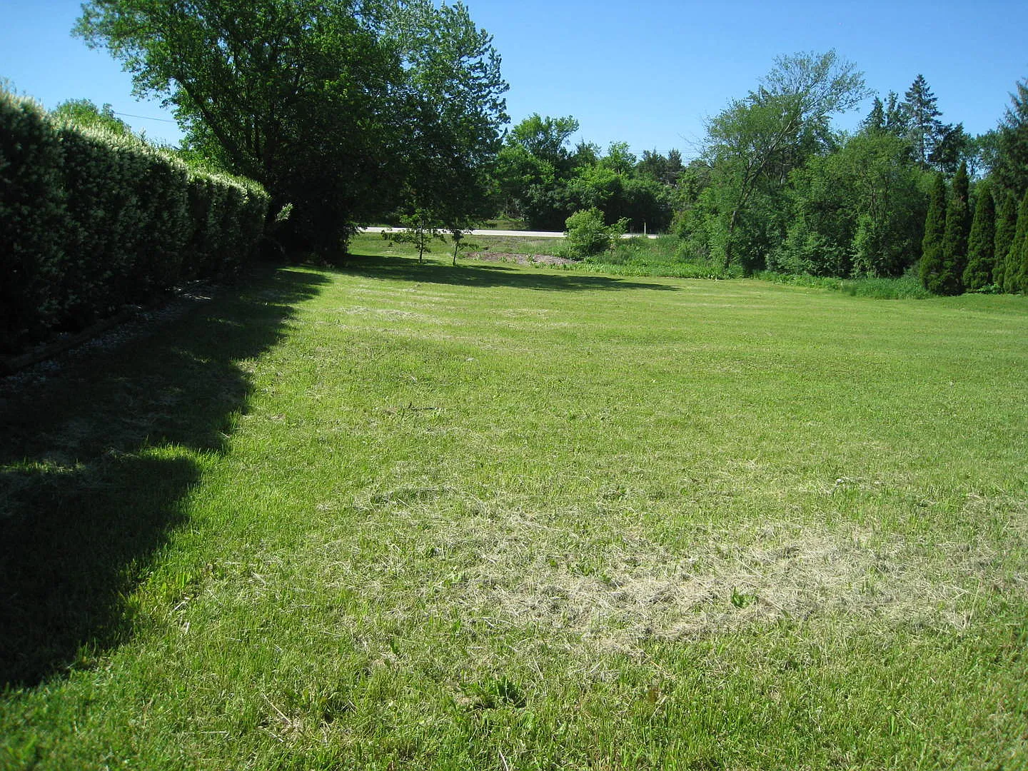19 Devonshire Dr photo 1