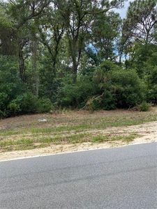 SW 38th Ave, Ocala, FL, 34476
