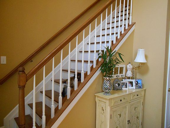2nd image of 16 Halley Ln #Halley