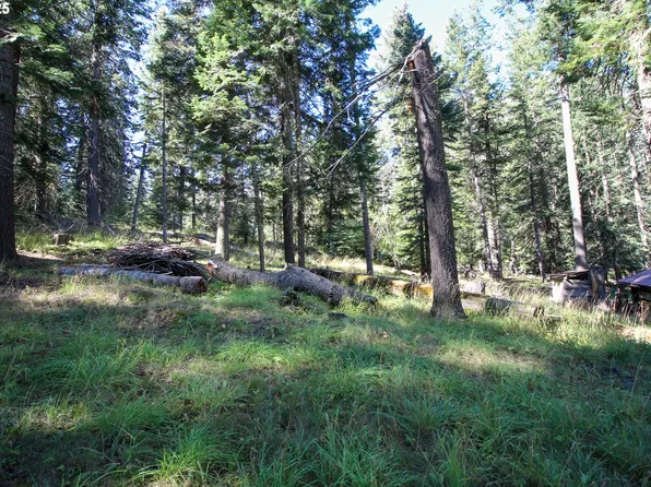 Beske Ln, Joseph, OR 97846