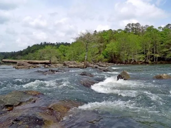 116 Sunfish Bay Ln, Eagletown, OK 74734