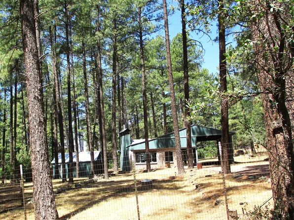 5106 N Oak Dr, Strawberry, AZ 85544