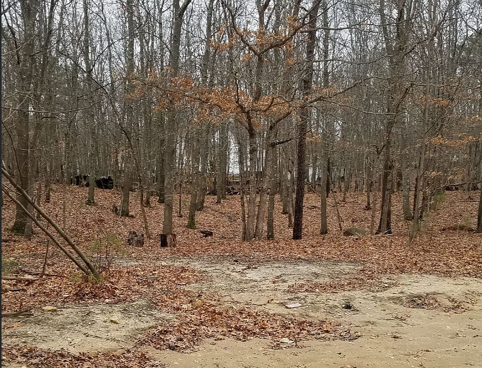 1st image of 28 Carol Ave