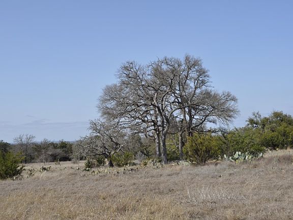 5th image of 79 Thriving Oak Dr