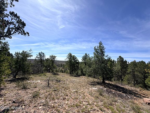 5th image of 5088 Morning View Dr