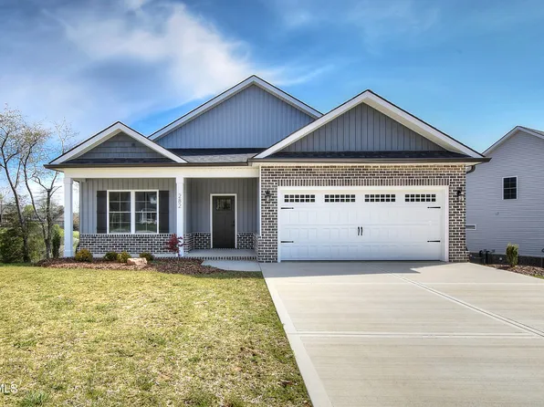 282 Dry Kiln Ct, Gray, TN 37615