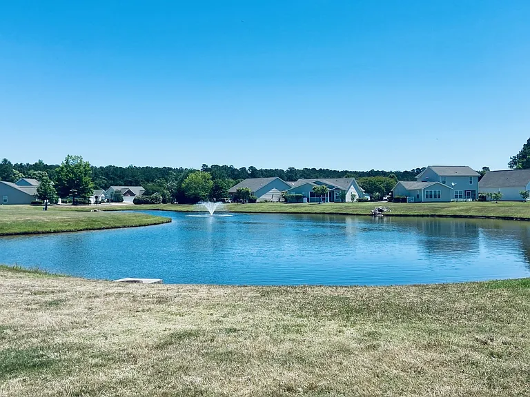 Pond view_05082021