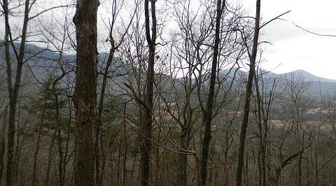 5th image of Bald Eagle Dr #21