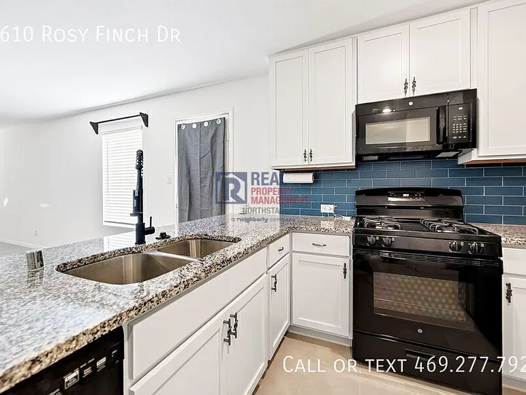 1610 Rosy Finch Dr — Photo 11