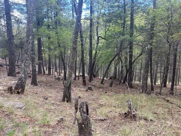 Andes Dr, Sacramento, NM 88347